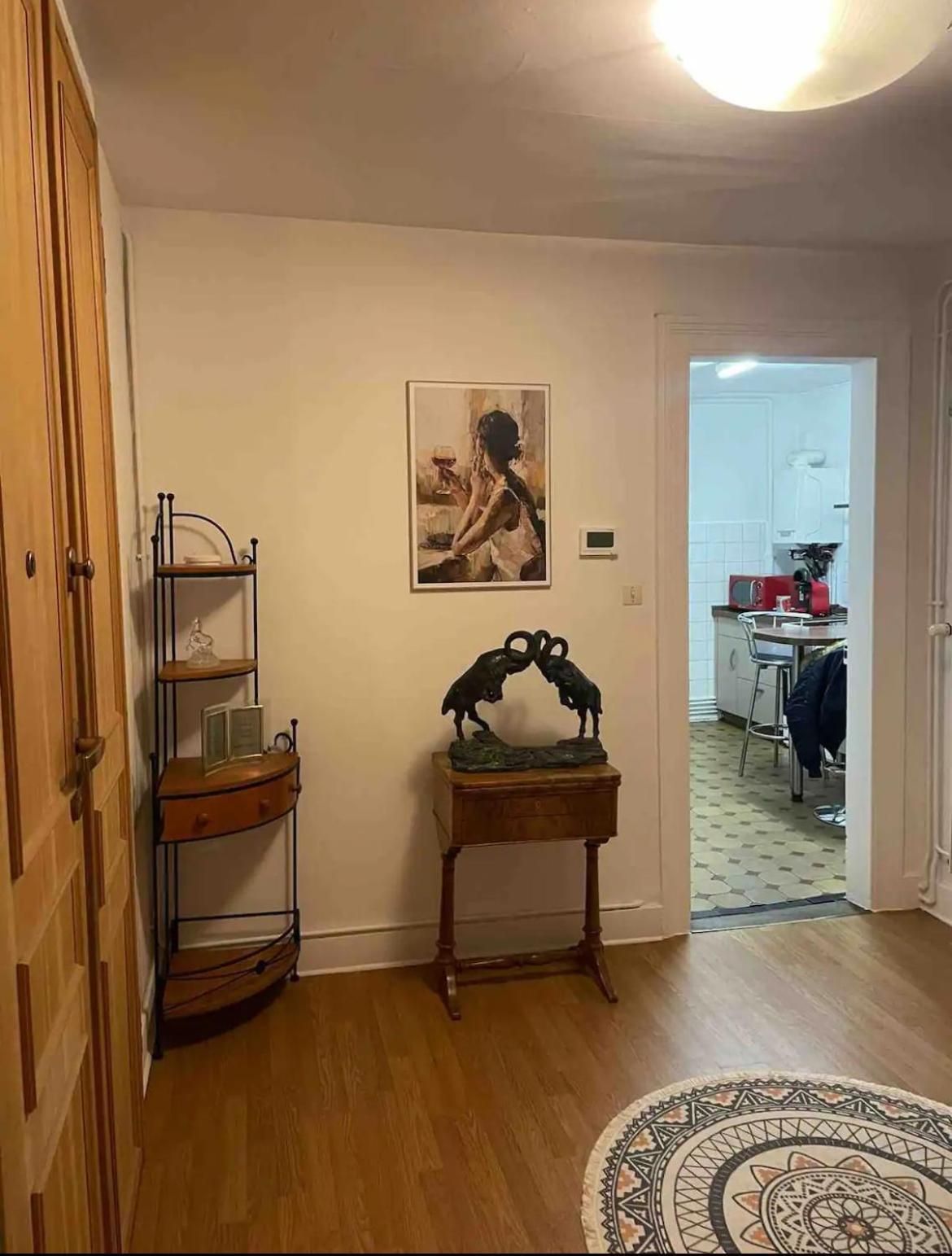 Spacious Apartment City Centre Strasbourg Eksteriør bilde